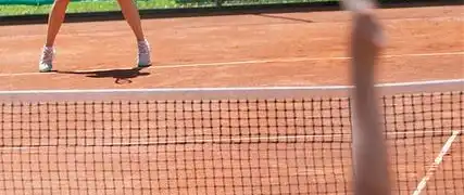 Professione tennista