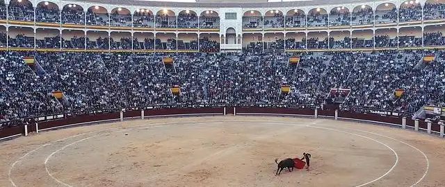 Professione torero