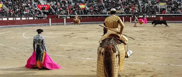 Professione torero