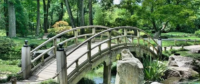 Argomento bridge