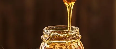 Argomento miele