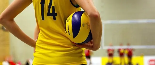 Argomento pallavolo