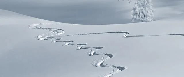 Argomento sciare